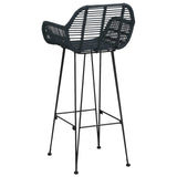 Bar Chair 2 pcs 55 x 52 x 105 cm Rattan and Iron 42011555