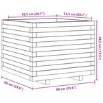 ZNTS Garden Planter 60x60x49.5 cm Solid Wood Douglas 847361