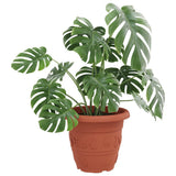 Round Flower Pot 24 pcs Brick Red 39 x 32 cm Plastic 42020293