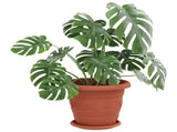 Plant Pots 24 pcs Brick Red 26 x 21.5 cm Plastic 3403281