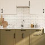 Cabinet Handles 20 pcs Black 128 mm Stainless Steel 3203693