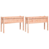 Garden Planters 2 pcs with Legs Solid Wood Douglas 837571