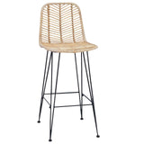 Bar Chair 2 pcs 44 x 52 x 111 cm Rattan and Iron 42011547