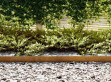 Lawn Edging 50 pcs Rusty 100 x 0.05 x 15 cm Weathering Steel 865945