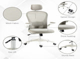 Multi-Adjustable Office Chair, with Lumbar Support, Headrest and Mesh Back - Grey T3398P329884