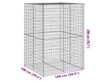 Gabion Basket with Cover 100x100x200 cm Galvanised Iron 3295225