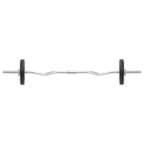 Barbell and Dumbbell Set 30 kg 93588