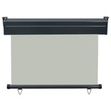 ZNTS Balcony Side Awning 105x250 cm Grey 48416