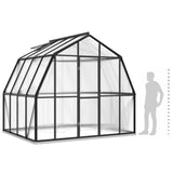 ZNTS Greenhouse with Base Frame Anthracite 6.43 m² Aluminium 3098018