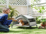 Dog House 72656521