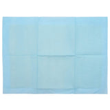 Non-woven Fabric Pet Training Pad 400 pcs Blue and White 42025323