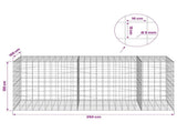 Gabion with 5 mm Wire and 10x10 cm Mesh 250x100x100 cm 3465311