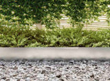 Lawn Edging Silver 450 x 0.05 x 25 cm Galvanised Steel 868036