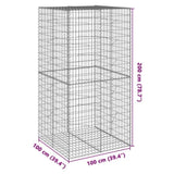 Gabion Basket with Cover 100x100x200 cm Galvanised Iron 3295225