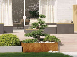 Planter Rusty 100x100x40 cm Weathering Steel 860821