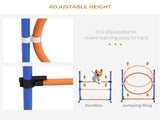 Dog agility training equipment 98072953