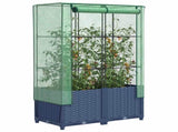Raised Bed with Greenhouse Cover Rattan Look 80x40x138 cm 4015828