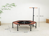 Exercise Trampoline 27714149