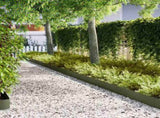 Lawn Edging 30 pcs Olive Green 100 x 0.05 x 20 cm 865957