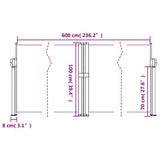 Retractable Side Awning Anthracite 100x600 cm 4004583