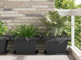 Square Flower Tray 24 pcs Black 36 x 36 x 3 cm Plastic 42020378