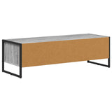 TV Cabinet Grey Sonoma 100 x 36.5 x 30.5 cm Engineered Wood 886555