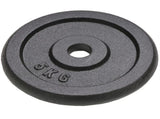 Weight Plates 4 pcs 2x10 kg2x5 kg Cast Iron 91395