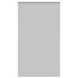 ZNTS Roller Blind Blackout Light Grey 125x230 cm Fabric Width 121.6 cm Polyester 4011471