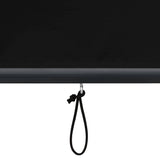 Outdoor Roller Blind 80x250 cm Anthracite 145952