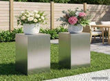 Plant Stand 2 pcs Silver 30 x 30 x 60 cm Steel 8012483