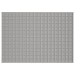 ZNTS Weighted Blanket Grey 135x200 cm Single 10 kg Fabric 3154780