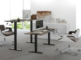 72-116cm Adjustable Electric Standing Desk, with LED Display - Black T3398P329528
