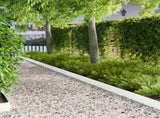 Lawn Edging 10 pcs 100 x 15 cm Steel White 8008815