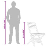 Folding Garden Chair Set of 2 Teak Solid Teak Wood Regular 362759