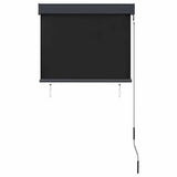 Outdoor Roller Blind 80x250 cm Anthracite 145952