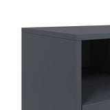 TV Cabinet Anthracite 68x39x43.5 cm Steel 846700