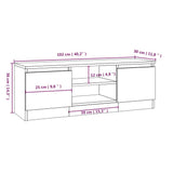 TV Cabinet with Door Smoked Oak 102x30x36 cm 823355