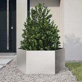 Garden Planter Hexagon 104x90x45 cm Stainless Steel 851133
