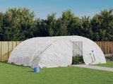 Greenhouse with Steel Frame White 20 m 5x4x2.3 m 3188094