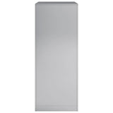 Firewood Rack 60x40x100 cm Galvanised Steel 850994