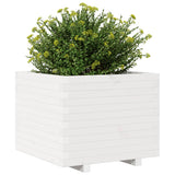 Garden Planter White 60x60x49.5 cm Solid Wood Pine 847359