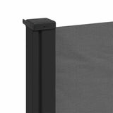 Retractable Side Awning Anthracite 100x300 cm 4004278