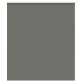 ZNTS Roller Blind Blackout Grey 140x150 cm Fabric Width 136.6 cm Polyester 4011136