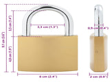 U Lock with Keys Brass 6 x 2 x 9.1 cm Iron 3417318