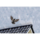 ZNTS Nature 6 pcs Anti Bird Spikes 32x11x18 cm 276939