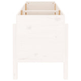 Garden Raised Bed White 160x50x57 cm Solid Wood Pine 825220