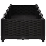 Raised Bed 160x40x23 cm Polypropylene 316529