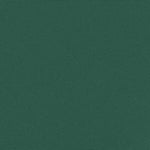 Retractable Side Awning Dark Green 100x300 cm 4004275