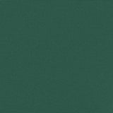 Retractable Side Awning Dark Green 100x300 cm 4004275