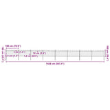 Garden Fence with Hoop Top Steel 1426x100 cm Black 277663